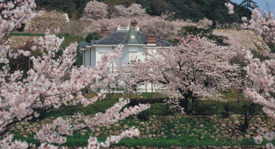 仁風閣と桜