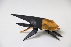 ヘラクレスオオカブト