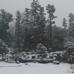 入選・吹雪の中で春を待つ