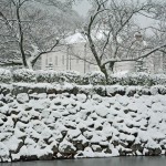 池本喜巳賞・雪景色