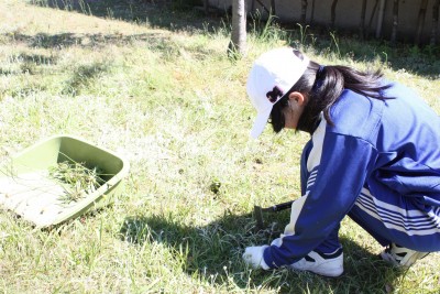 ワクワクあおや職場体験④