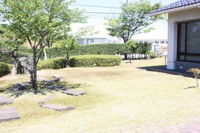 保育園児の大好きな庭