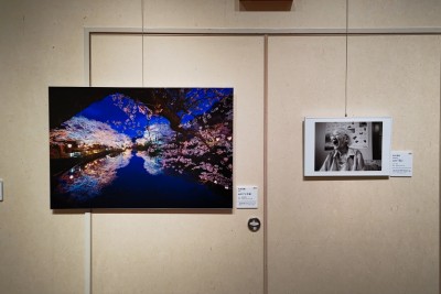 昨年度の展覧会の作品