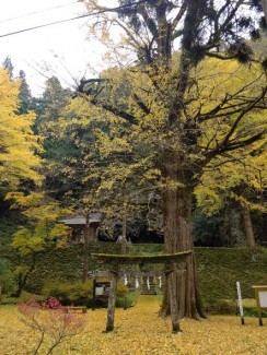 青谷町八葉寺の子守神社