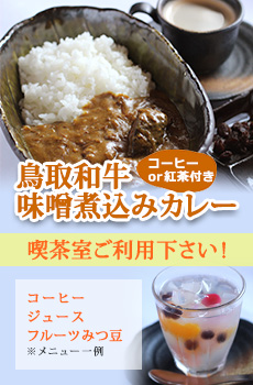 鳥取和牛味噌煮込みカレー