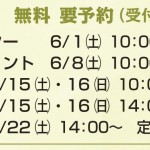 展覧会「あおや文化まつり2024」ワークショップのお知らせ