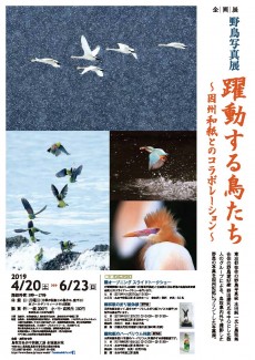 野鳥写真展　躍動する鳥たち～因州和紙とのコラボレーション～