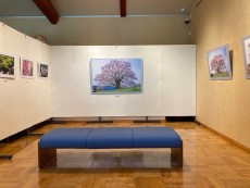 ロビー展「因州和紙を彩る写真展Ⅱ」　4月２5日から開催！　※この展示は終了しました。