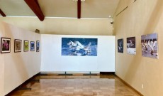 ロビー展「因州和紙を彩る写真展」