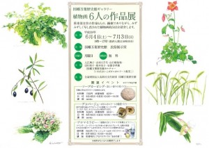 【終了】植物画６人の作品展