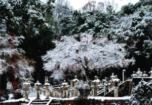 第18回池田家墓所写真コンクール作品展