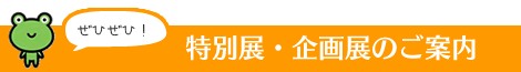 特別展・企画展のご案内