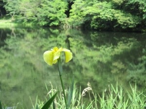 IMG_0305