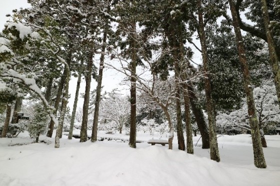 樗谿公園