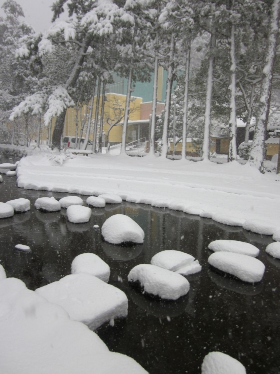 1雪の樗谿公園IMG_0002-1