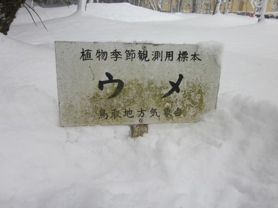 3標識も雪に埋もれていましたIMG_0003