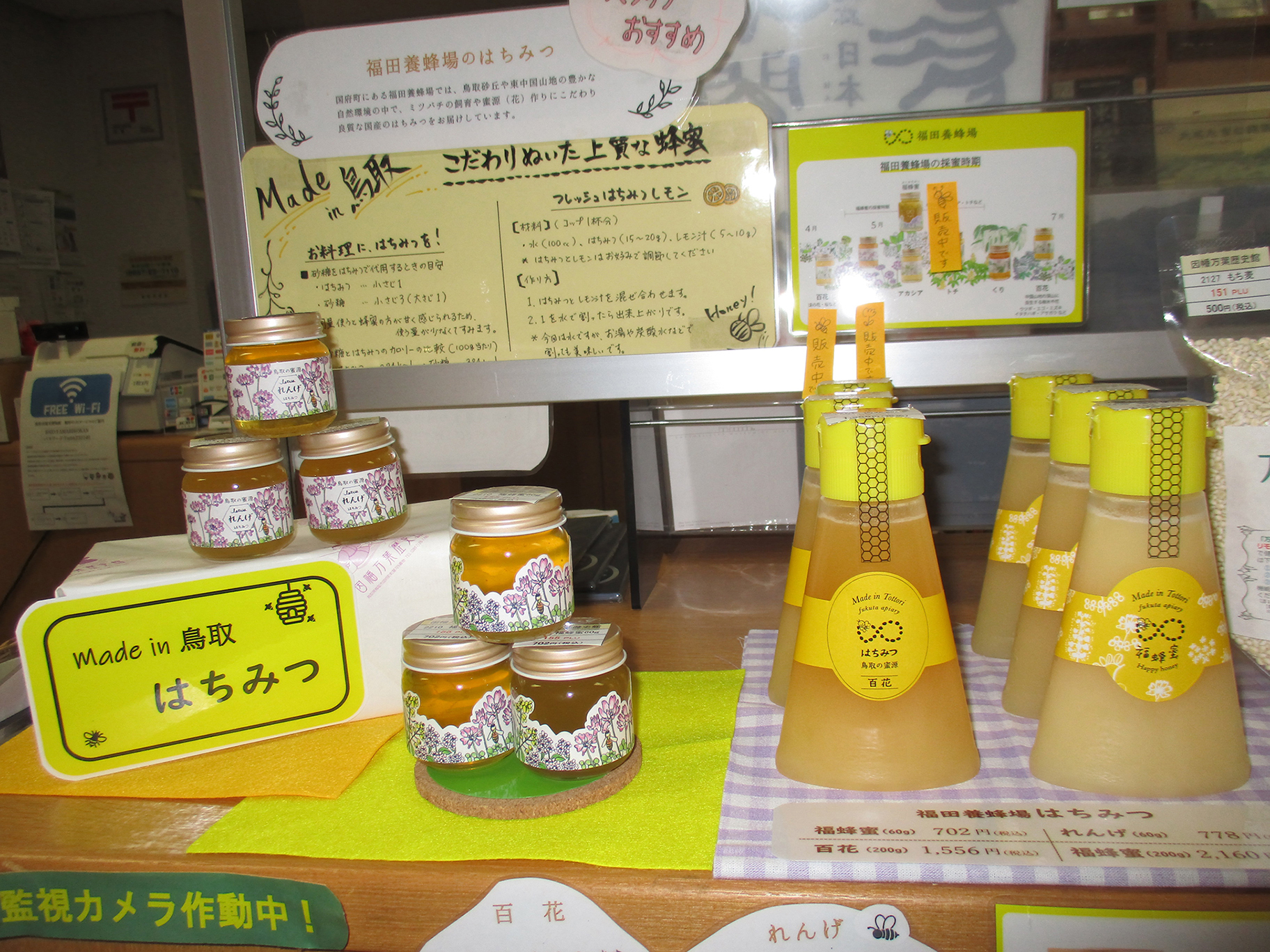 写真⑥