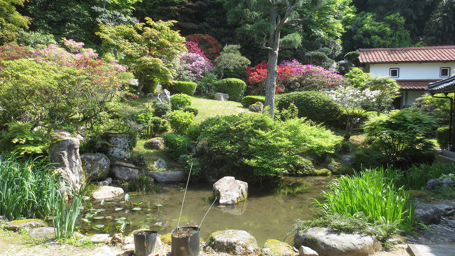 鳥取市鹿野町　光輪寺の庭園（内庭）